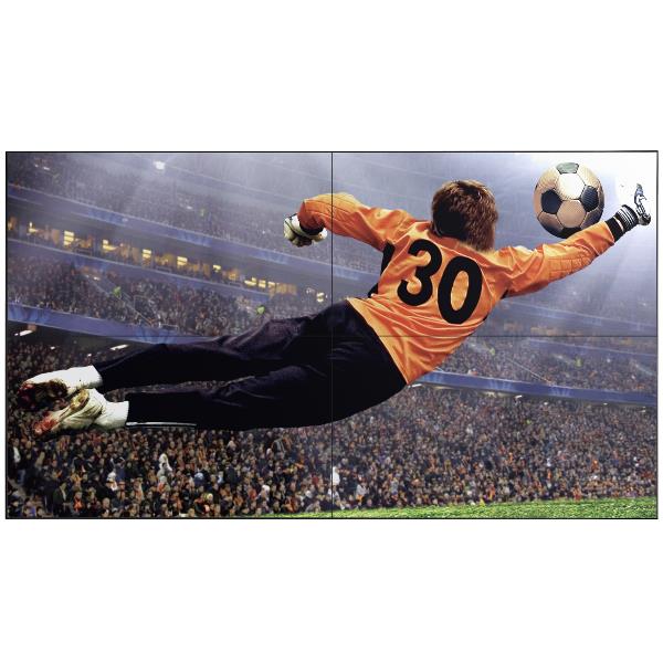 LG 49  LED IPS 1920X1080 16:9 500NITS